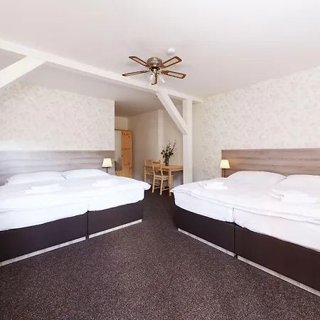 Ski Hotel Svoboda Nad Upou 3*