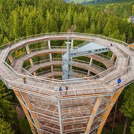 Ski Hotel Svoboda Nad Upou 酒店 3*