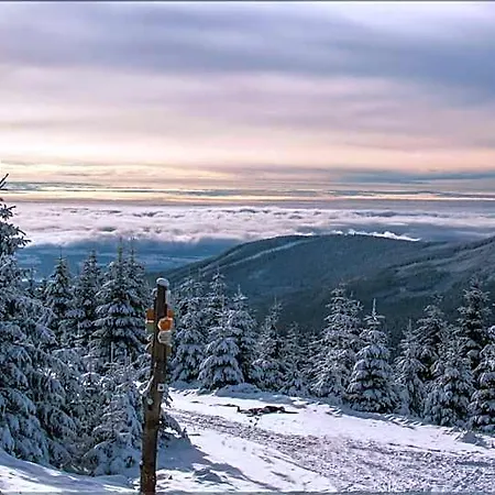 Ski Hotel Svoboda Nad Upou 3*