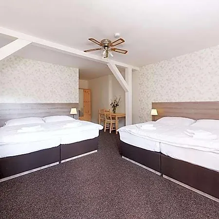 Ski Hotel Svoboda Nad Upou 3*