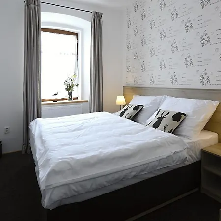 호텔 Ski Hotel Svoboda Nad Upou 3*