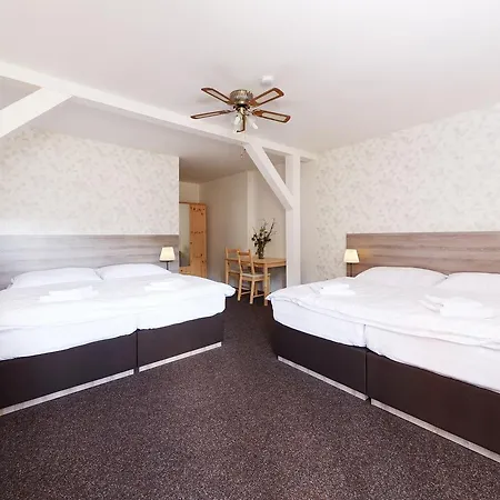 Hotel Ski Hotel Svoboda Nad Upou 3*
