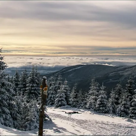 酒店 Ski Hotel Svoboda Nad Upou 3*