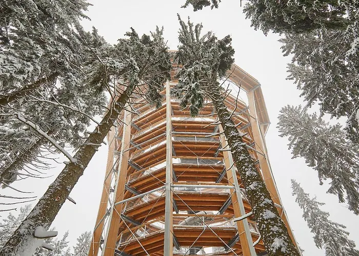 Ski Hotel Svoboda nad Úpou Hotel Svoboda nad Úpou