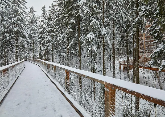 Ski Hotel Svoboda nad Úpou Hotel 3*