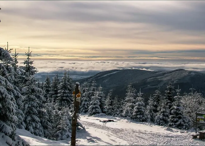 Hotel Ski Hotel Svoboda nad Úpou 3*
